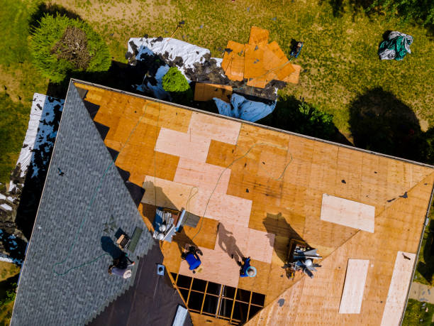 Best Commercial Roofing Services  in Vaeboro, NC