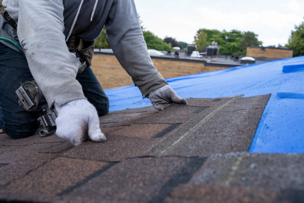 Quick and Trustworthy Emergency Roof Repair Services in Vanceboro, NC